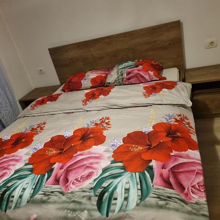 דירות Črni Kal Caci מראה חיצוני תמונה